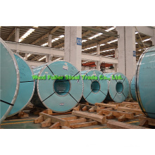 304 2b Cold Rolled Stainless Steel Coil in 0.6mm Thickness